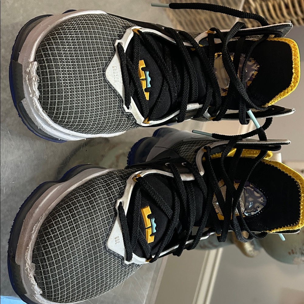 Nike LeBron 19 “Graduate” Black/Gold Purple Men’s 8